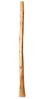 Natural Finish Didgeridoo (TW1298)